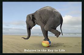 Balance - Elephant